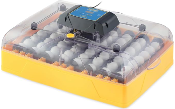Incubadora 56 huevos